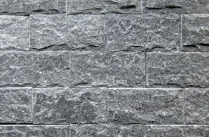 bl01