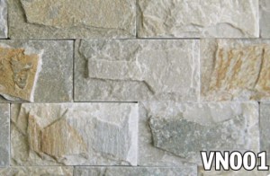 vn001