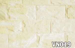vn019