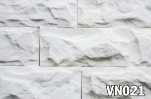 vn021
