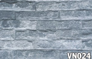 vn024