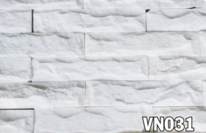 vn031