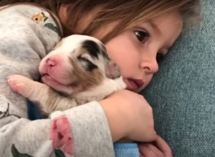 Mọi đứa trẻ đều xứng đáng có cơ hội lớn lên với tình yêu thương của một chú chó